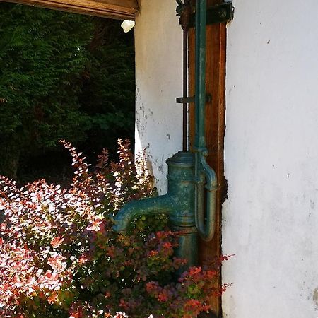 Studio Vacances Proche Plages Neufchâtel-Hardelot Dış mekan fotoğraf
